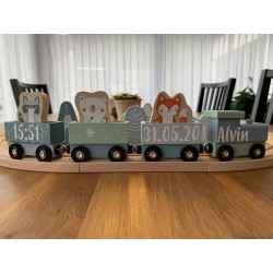 Holz-Eisenbahn mit Schienen